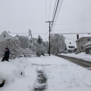 Meet your Posher, Steve